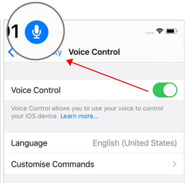 Turn on Voice Control