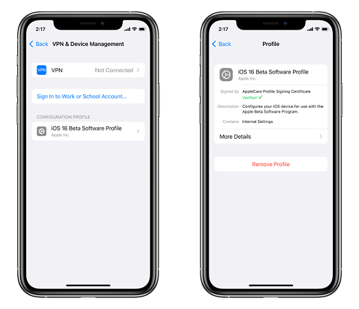 Remove iOS 16 Beta Profile