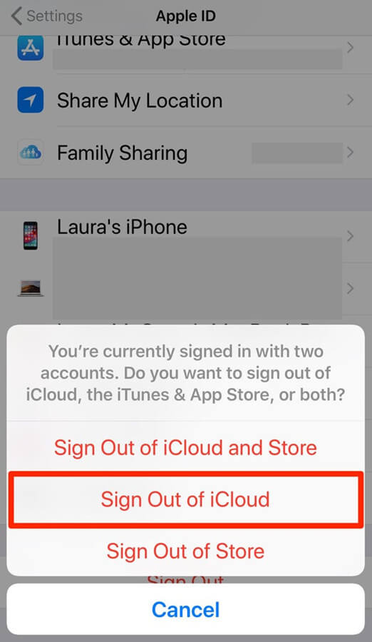 sign out of the iCloud