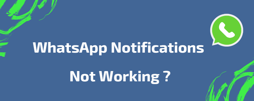 whatsapp-notifications-not-working01