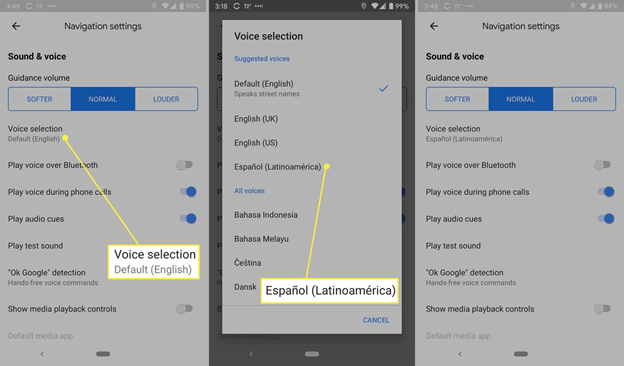 google maps change voice options