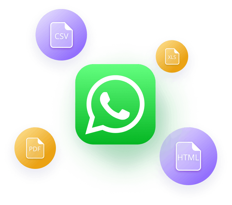 export whatsapp