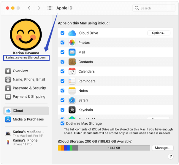 Find Apple ID on Mac