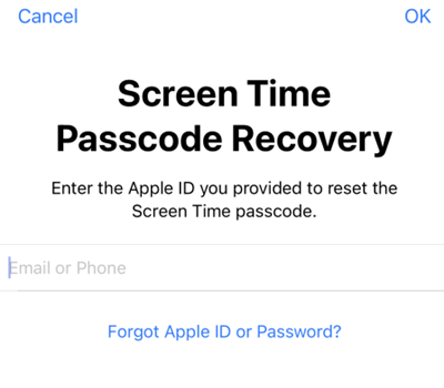Enter the Apple ID and password