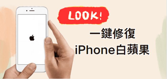 iphone 白蘋果