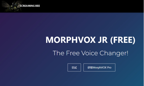 morphvox junior